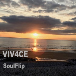 Soulflip