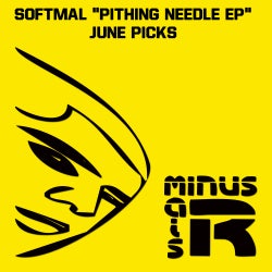 SOFTMAL "PITHING NEEDLE EP" JUNE PICKS