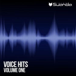 Voice Hits, Vol. 1