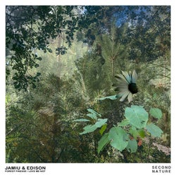 Love Me Not / Forest Finesse