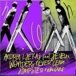 Wonders Never Cease (Jimpster Remixes)