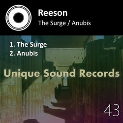 The Surge / Anubis