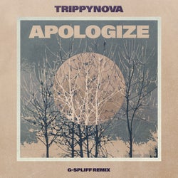 Apologize (G-Spliff Remix)