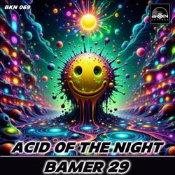 Acid Of The Night (Original Mix)