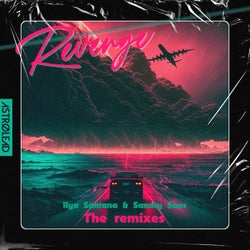 Revenge (The Remixes)