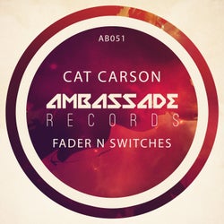 Fader N Switches