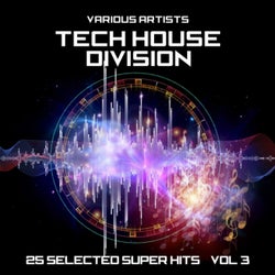 Tech House Division (25 Selected Super Hits), Vol. 3