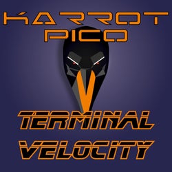 Terminal Velocity