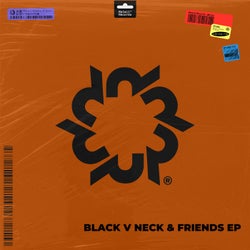 Black V Neck & Friends