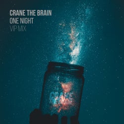 One Night (Vip Mix)