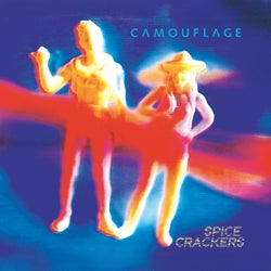 Spice Crackers