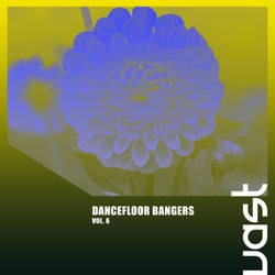 Dancefloor Bangers, Vol. 6