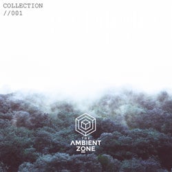 The Ambient Zone: Collection 001