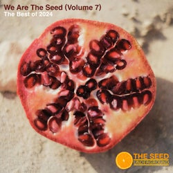 The Best of the Seed 2024