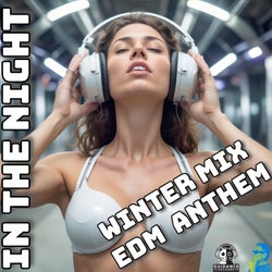 In the Night - Winter Mix