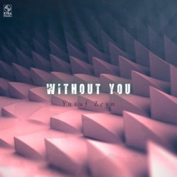 Without You