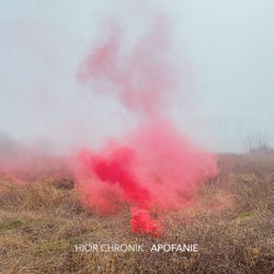 Apofanie