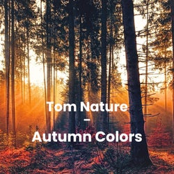 Autumn Colors