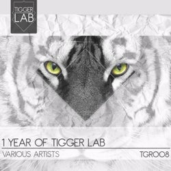 One Year of Tigger Lab