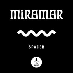 Spacer (Extended Mix)