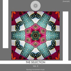 The Selection, Vol. 3