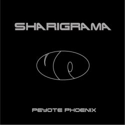  Discography of  "Sharigrama"