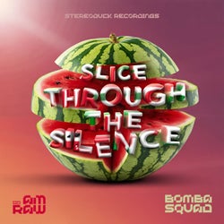 SLICE THROUGH THE SILENCE