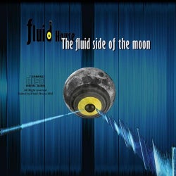 The Fluid Side Of The Moon