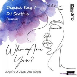Who Are You (Remixes)
