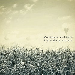 V.A. - Landscapes
