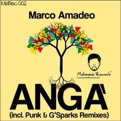 Angà - EP (Incl. Punk & G'sparks Remixes)