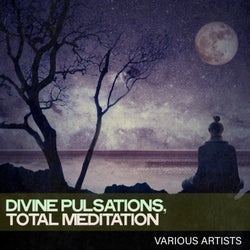 Divine Pulsations, Total Meditation