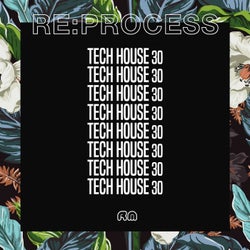 Re:Process - Tech House Vol. 30