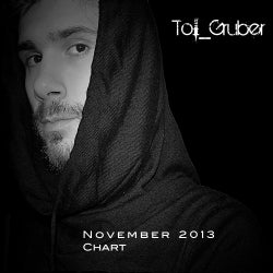 Tol Gruber 2013 November chart