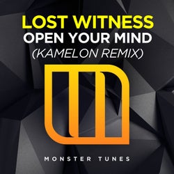 Open Your Mind (Kamelon Remix)