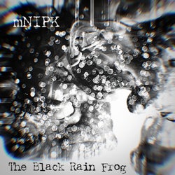The Black Rain Frog
