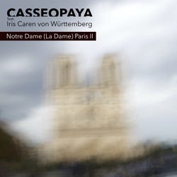 Notre Dame - La Dame - Paris II