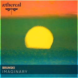 Imaginary