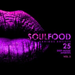 Soulfood, Vol. 3 (25 Deep-House Aperitifs)