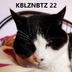 KBLZNBTZ 22