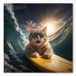 Surfin' Cat