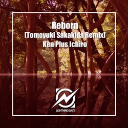 Reborn (Tomoyuki Sakakida Remix)