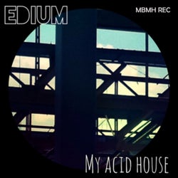 My Acid House