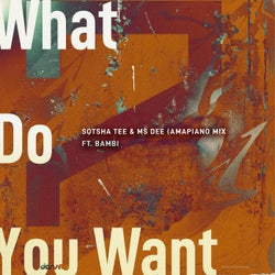 What Do You Want (Amapiano Mix)