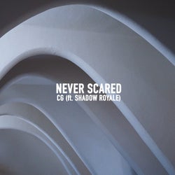 Never Scared feat. Shadow Royale