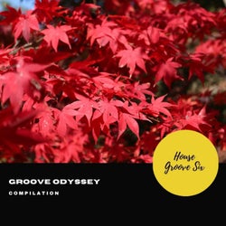 Groove Odyssey