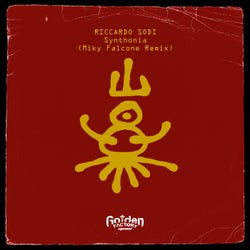 Synthonia (Miky Falcone Remix)