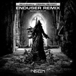 Crash Report (Enduser Remix)