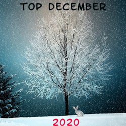 Top December 2020