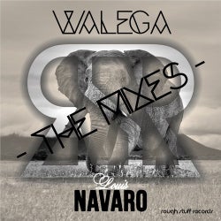 Walega - The Mixes